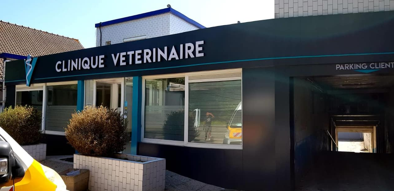 VETES - Centre vétérinaire